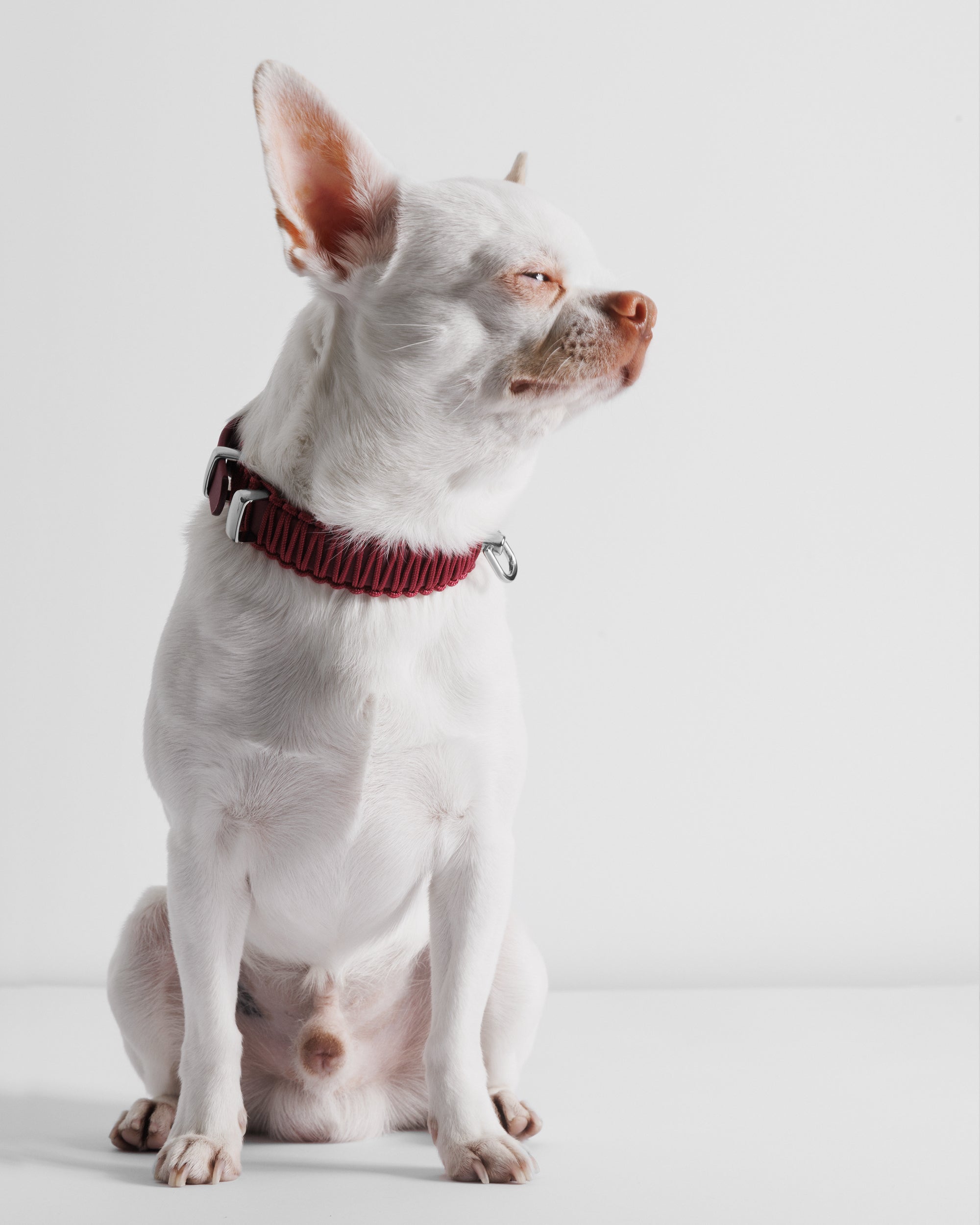 VALKA KUKUR JAPAN ONLINE STORE – VALKA KUKUR JAPAN Online Store