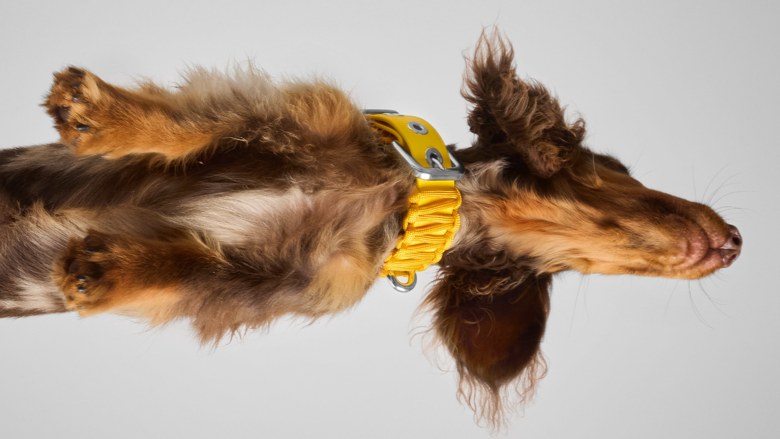 VALKA KUKUR JAPAN ONLINE STORE – VALKA KUKUR JAPAN Online Store